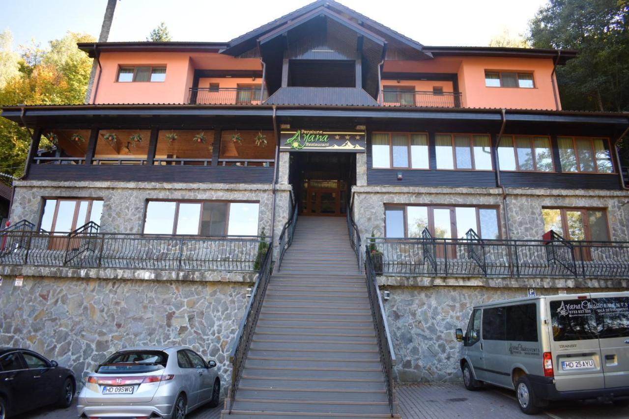 Pensiunea Ayana Petrosani Exterior photo